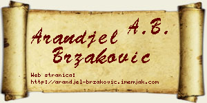 Aranđel Brzaković vizit kartica